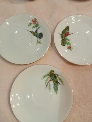 Set di 9 tazze e piatti in porcellana fine PMR Bavaria Jaeger & Co