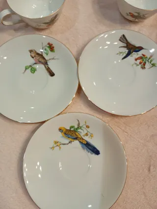 Set di 9 tazze e piatti in porcellana fine PMR Bavaria Jaeger & Co