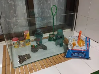 Kit pecera y accesorios