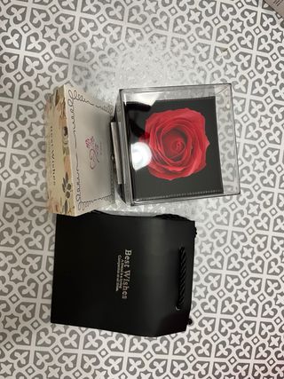 Rosa preservada en caja con colgante