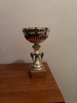 Trofeo Natación Chamartín 2008