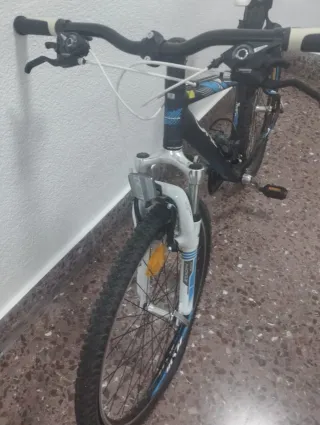 Bicicleta de Montaña