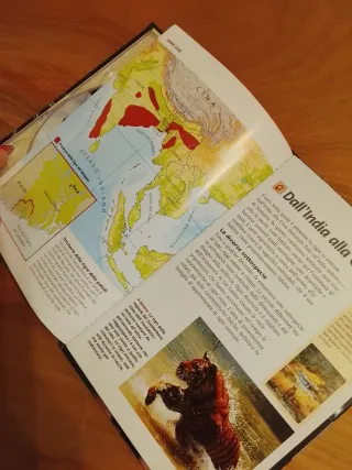 Regalo Dvd e Libro Tigre Delle Paludi #predatori