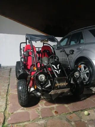 buggy pgo 2008