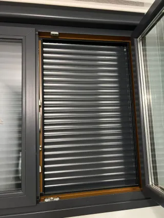 Persianista mantenimiento.