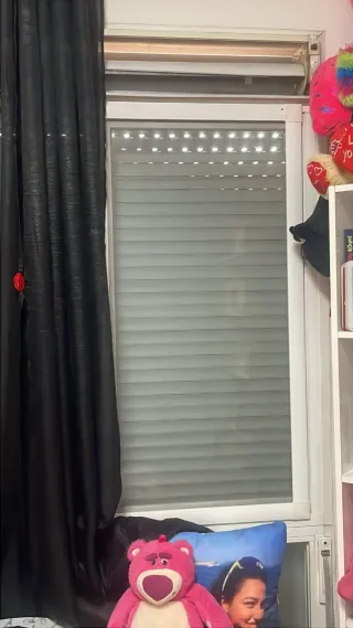 Persianista mantenimiento.