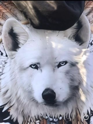 Sudadera con estampado de lobo y buho 54/56/58