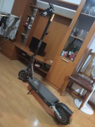 Patín Eléctrico Xiaomi PRO