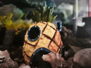 Acuario 50L Completo