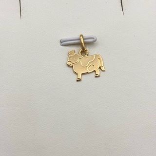 Colgante de oro 18kt