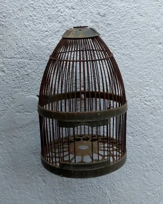 Jaula para perdiz y sayuela