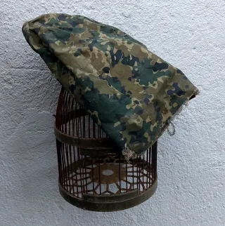 Jaula para perdiz y sayuela