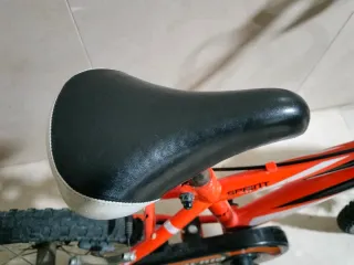 Bicicleta Infantil California 18