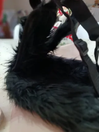 Zainetto peluche Barbapapà nero