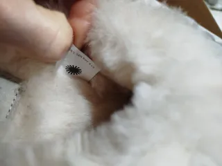 UGG Disquette Ciabatte Castagna