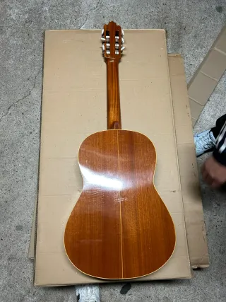 Guitarra Española Clásica
