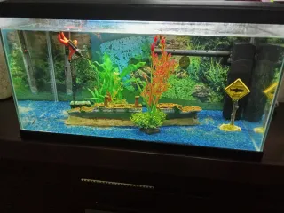 Pecera 60L con accesorios