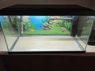 Pecera 60L con accesorios