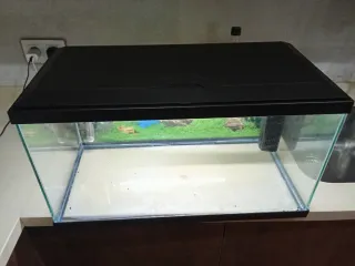 Pecera 60L con accesorios