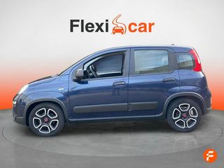 Fiat Panda City Life Hybrid 1.0 Gse 51kw (70CV)