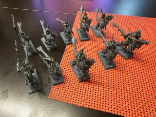 WARHAMMER AOS 10x SERAPHON CAZADORES RAPTADON