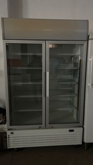 Nevera doble acristalada