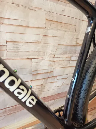 Cannondale FSi Custom