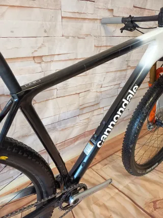 Cannondale FSi Custom