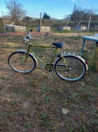 Bicicleta Clásica Hercules Verde