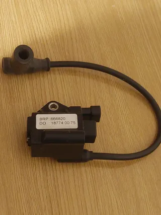 Bobina Rotax Max EVO