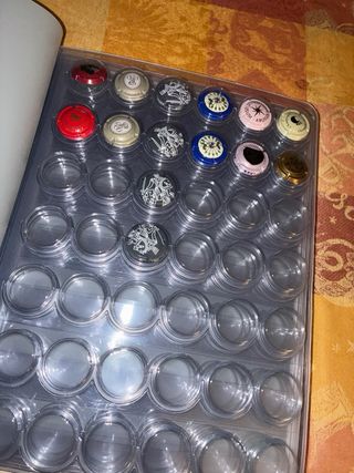 Carpeta para cápsulas de champán