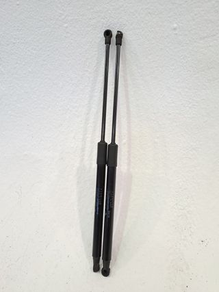 AMORTIGUADORES MALETERO / PORTON CITROEN C3 (4)