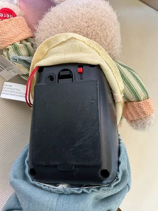 Coniglietto peluche su skateboard musicale