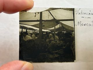 Placa Cristal Estereoscopica Valencia, Mercado