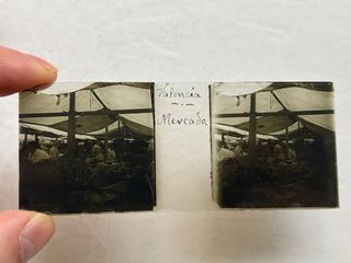 Placa Cristal Estereoscopica Valencia, Mercado