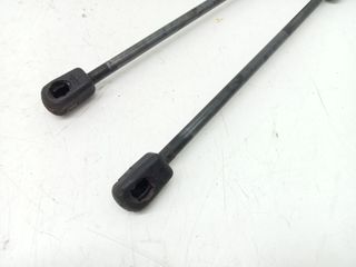 AMORTIGUADORES MALETERO / PORTON FORD KA+ (2)