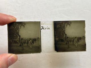 Placa Cristal Estereoscopica Valencia Feria Ganado