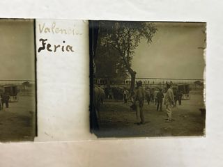 Placa Cristal Estereoscopica Valencia Feria Ganado