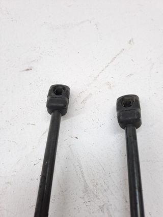 AMORTIGUADORES MALETERO / PORTON FORD C-MAX