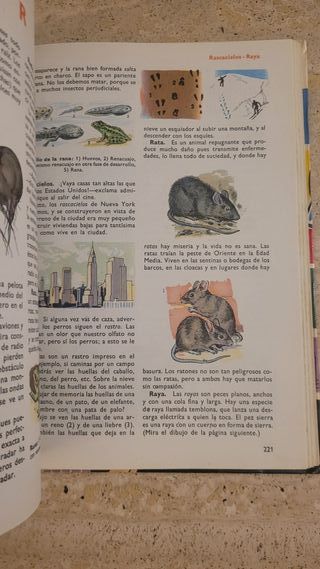 Mundo Infantil Palabras a traves de la imagen y el