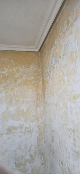 Pintor profesional y económico