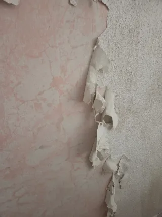 Pintor profesional y económico