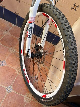 Bicicleta Whistle Roja