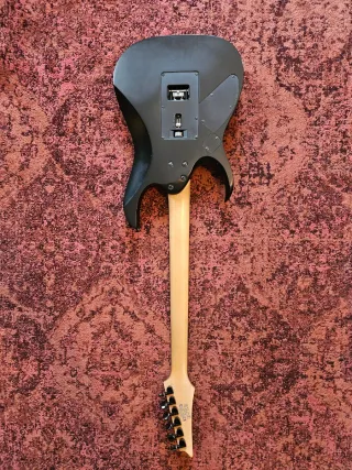 Chitarra Elettrica Ibanez RGD420Z