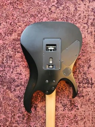 Chitarra Elettrica Ibanez RGD420Z