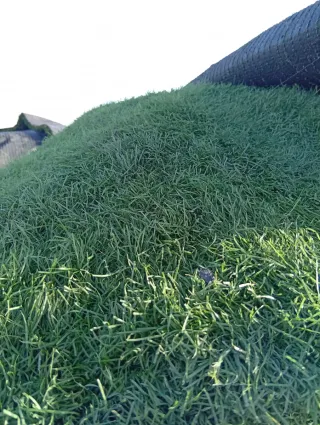 Venta césped