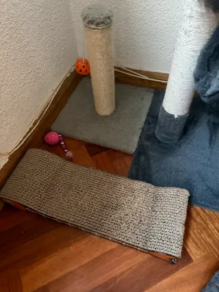 Casita para gatos con rascador y hamaca