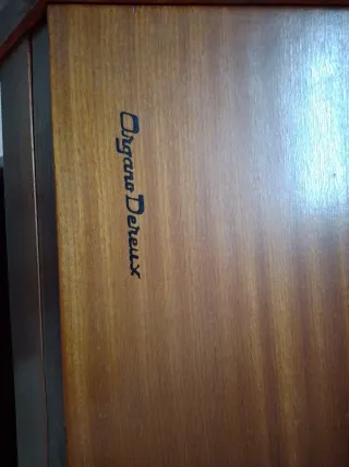 Órgano Piano Eléctrico