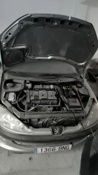 Peugeot 206 2001