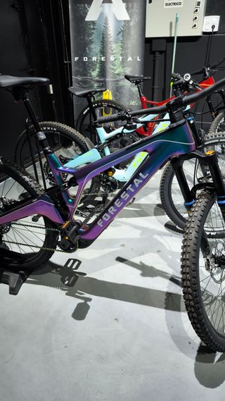 Bicicleta eléctrica Forestal Cyon Diode